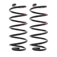 Suspension Spring set front axle coil spring Ø 145...
