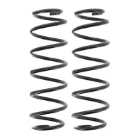 Suspension Spring set rear axle coil spring Ø 102...