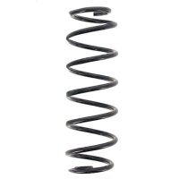 Suspension Spring set rear axle coil spring Ø 102...