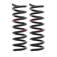 Suspension Spring set rear axle coil spring Ø 101...