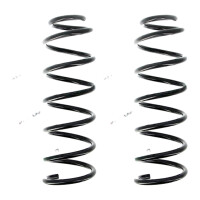 Suspension Spring set front axle coil spring Ø 113...