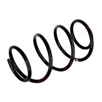 Fahrwerksfedern-Set Vorderachse Schraubenfeder Ø 186 mm KYB für NISSAN TEANA