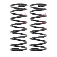 Fahrwerksfedern-Set Vorderachse Schraubenfeder Ø...