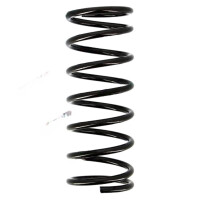 Fahrwerksfedern-Set Vorderachse Schraubenfeder Ø...