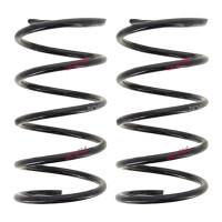 Fahrwerksfedern-Set Vorderachse Schraubenfeder Ø...