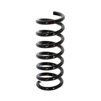 Suspension Spring set front axle coil spring Ø 120...