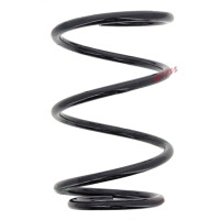Suspension Spring set front axle coil spring Ø 171...
