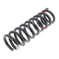 Suspension Spring set front axle coil spring Ø 114 mm KYB for NISSAN NAVARA