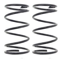 Fahrwerksfedern-Set vorne Schraubenfeder Ø 174 mm...