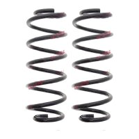 Suspension Spring set front axle coil spring Ø 133...