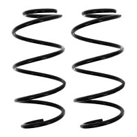 Suspension Spring set front axle coil spring Ø 161...