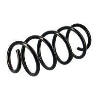 Fahrwerksfedern-Set Hinterachse Schraubenfeder KYB passend für DACIA DUSTER