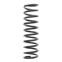 Suspension Spring set rear axle coil spring Ø 102...