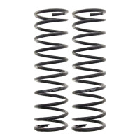 Suspension Spring set rear axle coil spring Ø 104...