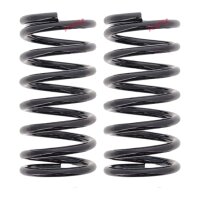 Suspension Spring set rear axle coil spring Ø 110...