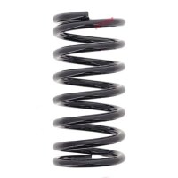 Suspension Spring set rear axle coil spring Ø 110...