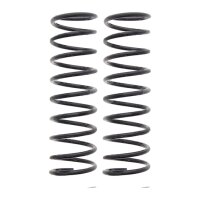 Suspension Spring set rear axle coil spring Ø 102...