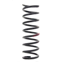 Suspension Spring set rear axle coil spring Ø 117...