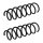 Suspension Spring set rear axle coil spring KYB IAM-Expertise for BMW 5 Series