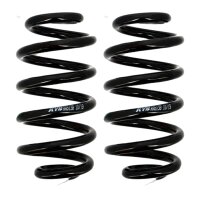 Suspension Spring set rear axle coil spring KYB...