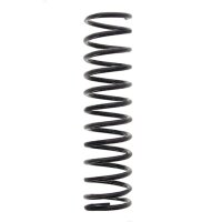 Suspension Spring set rear axle coil spring Ø 100...