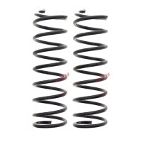 Suspension Spring set rear axle coil spring Ø 100...
