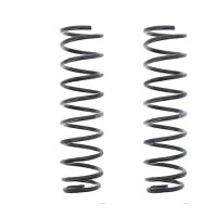 Suspension Spring set rear axle coil spring Ø 99...