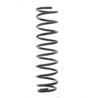 Suspension Spring set rear axle coil spring Ø 99...