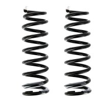 Suspension Spring set rear axle coil spring Ø 102...