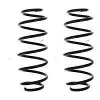 Suspension Spring set rear axle coil spring Ø 120...