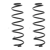 Suspension Spring set rear axle coil spring Ø 116...