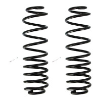 Suspension Spring set rear axle coil spring Ø 116...