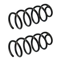 Suspension Spring set rear axle coil spring Ø 133...