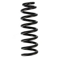 Suspension Spring set rear axle coil spring Ø 101...