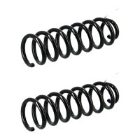 Suspension Spring set rear axle coil spring Ø 100...