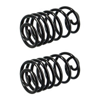 Suspension Spring set rear axle coil spring Ø 161...