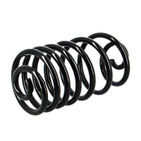 Suspension Spring set rear axle coil spring Ø 161...