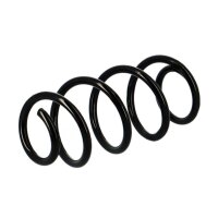 Suspension Spring set rear axle coil spring Ø 107...