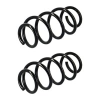 Suspension Spring set rear axle coil spring Ø 107...