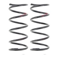Suspension Spring set rear axle coil spring Ø 111...