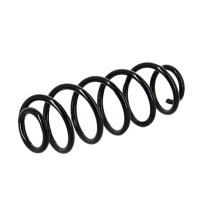 Suspension Spring set rear axle coil spring Ø 115...