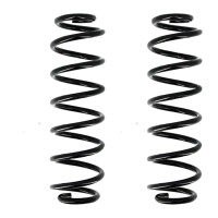 Suspension Spring set rear axle coil spring Ø 110...