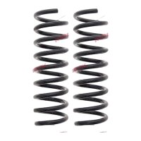 Suspension Spring set rear axle coil spring Ø 103...