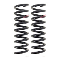 Suspension Spring set rear axle coil spring Ø 99...