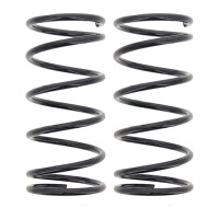 Suspension Spring set rear axle coil spring Ø 142...