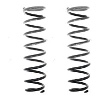 Suspension Spring set rear axle coil spring Ø 101...