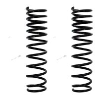Suspension Spring set rear axle coil spring Ø 113...