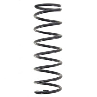 Suspension Spring set rear axle coil spring Ø 100...
