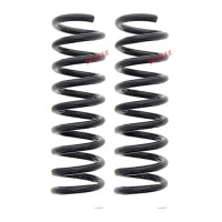 Suspension Spring set rear axle coil spring Ø 99...