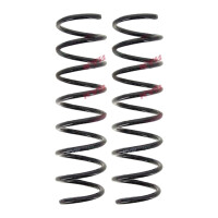 Suspension Spring set rear axle coil spring Ø 111...